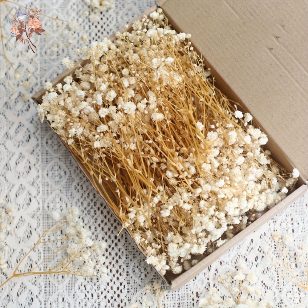 Embellish Craft - 100pcs Mini Dried Baby's Breath Flowers