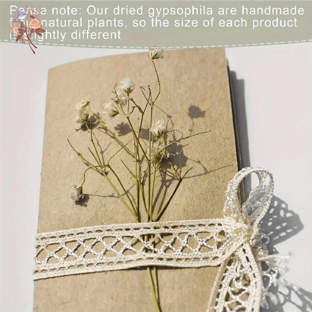 100pcs Mini Dried Baby's Breat - Embellish Craft recension och pris
